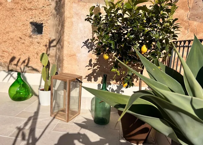 公寓 Sikelikos 诺托