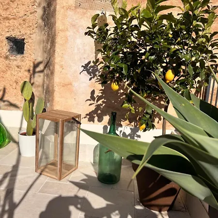 Apartmán Sikelikos Noto