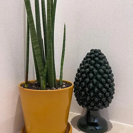 Sikelikos Apartmán Noto